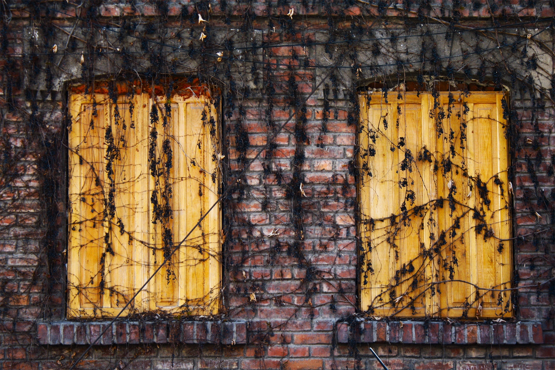 leeroy-653-unsplash